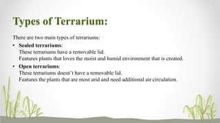 Types of Terrarium:
There are two main types of terrariums:
• Sealed terrariums:
These terrariums have a removable lid.
Features plants that loves the moist and humid environment that is created.
• Open terrariums:
These terrariums doesn’t have a removable lid.
Features the plants that are most arid and need additional air circulation.
 