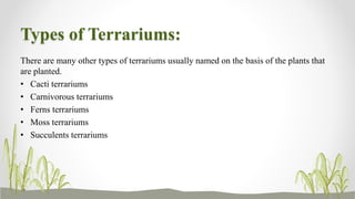 Types of Terrariums:
There are many other types of terrariums usually named on the basis of the plants that
are planted.
• Cacti terrariums
• Carnivorous terrariums
• Ferns terrariums
• Moss terrariums
• Succulents terrariums
 