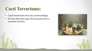 Cacti Terrariums:
• Cacti terrariums love dry surroundings.
• It’s best that this type of terrarium have a
constant air flow.
 