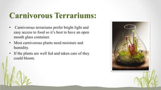 Carnivorous Terrariums:
• Carnivorous terrariums prefer bright light and
easy access to food so it’s best to have an open
mouth glass container.
• Most carnivorous plants need moisture and
humidity.
• If the plants are well fed and taken care of they
could bloom.
 