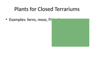 Plants for Closed Terrariums
• Examples: ferns, moss, Fittonia
 