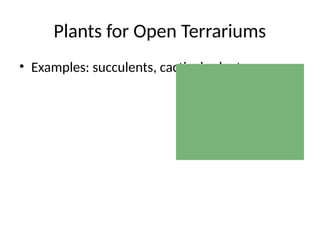 Plants for Open Terrariums
• Examples: succulents, cacti, air plants
 