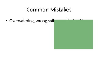 Common Mistakes
• Overwatering, wrong soil, poor plant pairing
 