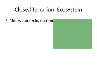 Closed Terrarium Ecosystem
• Mini water cycle, nutrient cycle, gas exchange
 