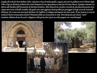 Sveglia alle 6.00 da bravi Palmiri, lodi e colazione a base di melone giallo e yogurt, poi tutti in pullman verso il Monte degli Ulivi. Dopo la divisione richiesta dai coristi bisognosi di una ripassatina ai canti per la Santa Messa, il gruppo rimanete si è diretto alla Basilica dell'Assunzione di dottrina ortodossa. Alla chiesa di era crociata si accede da una piazzetta posta circa cinque metri sotto il livello stradale, alla quale sono stati aggiunti alcuni gradini per proteggere il luogo sacro da eventuali alluvioni. Ciò è stato reso necessario dal fatto che l'edificio si sviluppa interamente nel sotto suolo. Al suo interno si trova la tomba di Maria trovata piena di fiori l‘indomani della sua Assunzione in cielo. Presi dal panico per alcuni “canti” ortodossi, abbiamo deciso di uscire e rifugiarci nella grotta dove Gesù era solito pregare con i suoi discepoli. 