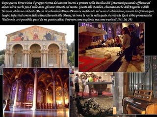 Dopo questa breve visita il gruppo ritorna dai cantori intenti a provare nella Basilica del Getsemani passando affianco ad alcuni ulivi vecchi più d mille anni, gli unici rimasti sul monte. Giunti alla Basilica, chiamata anche dell'Angoscia o delle Nazioni, abbiamo celebrato Messa ricordando la Passio Domini e meditando sul senso di abbandono provato da Gesù in quei luoghi. Infatti al centro della chiesa (davanti alla Mensa) si trova la roccia sulla quale si crede che Gesù abbia pronunciato: "Padre mio, se è possibile, passi da me questo calice! Però non come voglio io, ma come vuoi tu!".(Mt 26, 39)