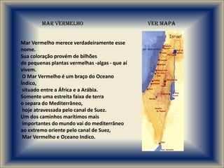 Mar Vermelho                            VER MAPA


Mar Vermelho merece verdadeiramente esse
nome.
Sua coloração provém de bilhões
de pequenas plantas vermelhas -algas - que aí
vivem.
 O Mar Vermelho é um braço do Oceano
Índico,
 situado entre a África e a Arábia.
Somente uma estreita faixa de terra
o separa do Mediterrâneo,
 hoje atravessada pelo canal de Suez.
Um dos caminhos marítimos mais
 importantes do mundo vai do mediterrâneo
ao extremo oriente pelo canal de Suez,
 Mar Vermelho e Oceano Indico.
 