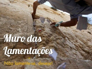 Circuito Terra Santa