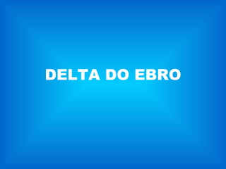 DELTA DO EBRO 