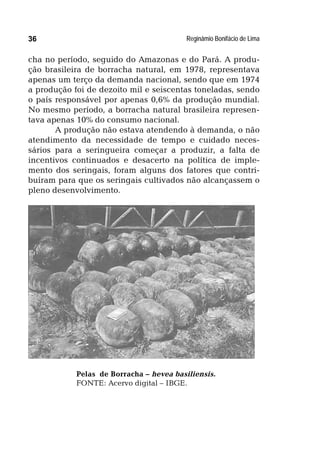 Reginâmio Bonifácio de Lima36
cha no período, seguido do Amazonas e do Pará. A produ-
ção brasileira de borracha natural, em 1978, representava
apenas um terço da demanda nacional, sendo que em 1974
a produção foi de dezoito mil e seiscentas toneladas, sendo
o país responsável por apenas 0,6% da produção mundial.
No mesmo período, a borracha natural brasileira represen-
tava apenas 10% do consumo nacional.
A produção não estava atendendo à demanda, o não
atendimento da necessidade de tempo e cuidado neces-
sários para a seringueira começar a produzir, a falta de
incentivos continuados e desacerto na política de imple-
mento dos seringais, foram alguns dos fatores que contri-
buíram para que os seringais cultivados não alcançassem o
pleno desenvolvimento.
Pelas de Borracha – hevea basiliensis.
FONTE: Acervo digital – IBGE.
 