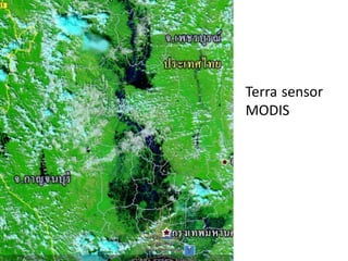 Terra sensor
MODIS
 