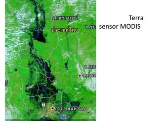 Terra
sensor MODIS
 