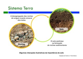 Solo
A desagregação das rochas
dá origem à parte mineral
dos solos
O solo participa
na formação
de rochas sedimentares
Rochas
Algumas interações ilustrativas da importância do solo
Adaptado de Cientic 8, Porto Editora
Sistema Terra
 