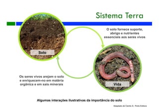 Vida
Solo
O solo fornece suporte,
abrigo e nutrientes
essenciais aos seres vivos
Os seres vivos arejam o solo
e enriquecem-no em matéria
orgânica e em sais minerais
Algumas interações ilustrativas da importância do solo
Adaptado de Cientic 8, Porto Editora
Sistema Terra
 