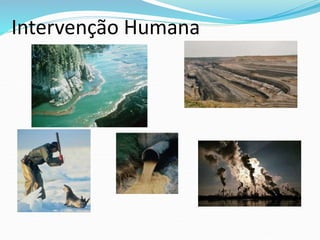 Intervenção Humana
 