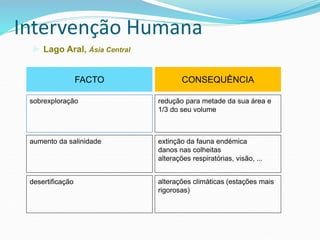 Intervenção Humana
► Lago Aral, Ásia Central
sobrexploração
FACTO CONSEQUÊNCIA
redução para metade da sua área e
1/3 do seu volume
aumento da salinidade
desertificação
extinção da fauna endémica
danos nas colheitas
alterações respiratórias, visão, ...
alterações climáticas (estações mais
rigorosas)
 