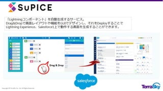 [TerraSky Day 2016] 󥸥˥Τˤʤ룡gõĤSalesforceک`ǥˤĤƿƤߤ褦