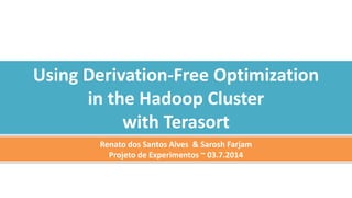 Using Derivation-Free Optimization
in the Hadoop Cluster
with Terasort
Renato dos Santos Alves & Sarosh Farjam
Projeto de Experimentos ~ 03.7.2014
 