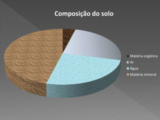 Composição do solo
Matéria orgânica
Ar
Água
Matéria mineral
 