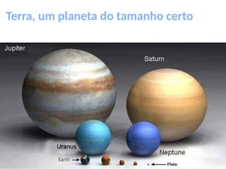 Terra um planeta com vida resumo mini.pptx