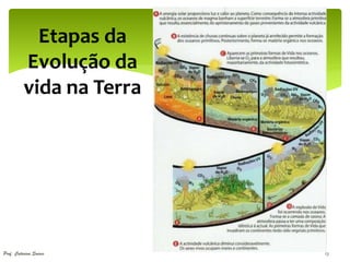 Etapas da
          Evolução da
          vida na Terra




Prof. Catarina Soares     13
 