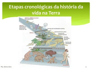 Etapas cronológicas da história da
                         vida na Terra




Prof. Catarina Soares                               14
 