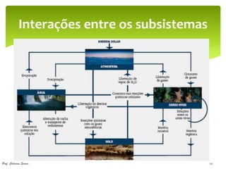 Interações entre os subsistemas




Prof. Catarina Soares                          20
 