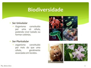 Biodiversidade

                  Ser Unicelular
                         Organismo     constituído
                          por uma só célula,
                          podendo viver isolado ou
                          formar colónias.


                  Ser Pluricelular
                         organismo     constituído
                          por mais do que uma
                          célula,      geralmente
                          associadas em tecidos.




Prof. Catarina Soares                                  22
 