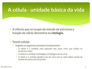 A célula - unidade básica da vida


                  A ciência que se ocupa do estudo da estrutura e
                   função da célula denomina-se citologia.

                  Teoria celular
                         Engloba os seguintes principios fundamentais:
                            A célula é a unidade mais pequena dos seres vivos que realiza os
                             processos vitais;
                            A célula é a unidade morfológica e fisiológica do ser vivo;
                            A célula é a unidade genética do ser vivo, isto é, cada célula resulta da
                             divisão de outras pré-existentes.


Prof. Catarina Soares                                                                                    23
 