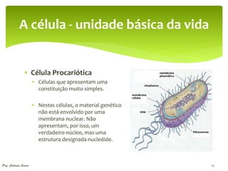 A célula - unidade básica da vida


                  Célula Procariótica
                         Células que apresentam uma
                          constituição muito simples.

                         Nestas células, o material genético
                          não está envolvido por uma
                          membrana nuclear. Não
                          apresentam, por isso, um
                          verdadeiro núcleo, mas uma
                          estrutura designada nucleóide.



Prof. Catarina Soares                                           25
 