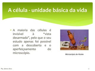 A célula - unidade básica da vida


                  A maioria das células é
                   invisível    à      “vista
                   desarmada”, pelo que o seu
                   estudo apenas foi possível
                   com a descoberta e o
                   aperfeiçoamento         do
                   microscópio.                 Microscópio de Hooke




Prof. Catarina Soares                                                  27
 