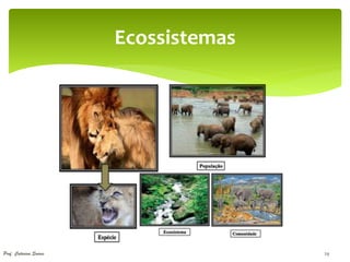 Ecossistemas




Prof. Catarina Soares                  29
 