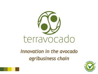 Terravocado commercial presentation | PDF