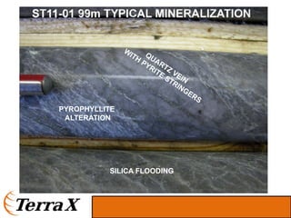 ST11-01 99m TYPICAL MINERALIZATION




    PYROPHYLLITE
     ALTERATION




              SILICA FLOODING
 