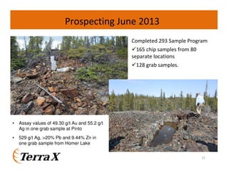 Prospecting June 2013
Completed 293 Sample Program
165 chip samples from 80
separate locations
128 grab samples.

•

Assay values of 49.30 g/t Au and 55.2 g/t
Ag in one grab sample at Pinto

•

529 g/t Ag, >20% Pb and 9.44% Zn in
one grab sample from Homer Lake
15

 