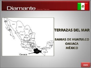TERRAZAS DEL MARTERRAZAS DEL MAR
BAHIAS DE HUATULCOBAHIAS DE HUATULCO
OAXACAOAXACA
MÉXICOMÉXICO
C025
Oaxaca
 
