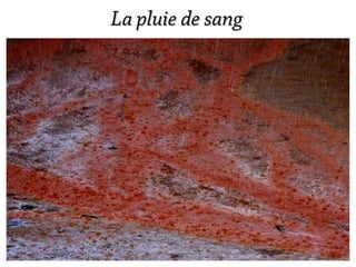 La pluie de sang
 