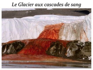 Le Glacier aux cascades de sangLe Glacier aux cascades de sang
 