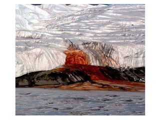 Terre des merveilles III