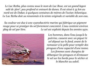 Le Lac Retba, plus connu sous le nom de Lac Rose, est un grand lagon
salé de 3km², peu profond et entouré de dunes. Il est situé à 35 km au
nord-est de Dakar, à quelques centaines de mètres de l’océan Atlantique.
Le Lac Retba doit sa renommée à la teinte originale et variable de son eau.
Sa couleur est due à une cyanobactérie marine qui fabrique un pigment
rouge pour se protéger du sel fortement concentré. L’eau contient environ
380g de sel par litre. Le sel est exploité depuis les années 1970.
Les hommes, dans l’eau jusqu’à la
poitrine, cassent avec un piquet le
sel déposé sur le fond, avant de le
ramasser à la pelle pour remplir des
pirogues d’une capacité d’une tonne.
Les femmes sont chargées de
débarquer les pirogues et d’entasser
le sel sur les bords pour le sécher et
le blanchir au soleil.
 