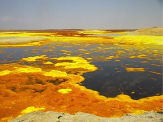 Terre des merveilles V