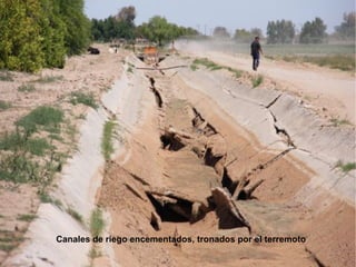 Canales de riego encementados, tronados por el terremoto 