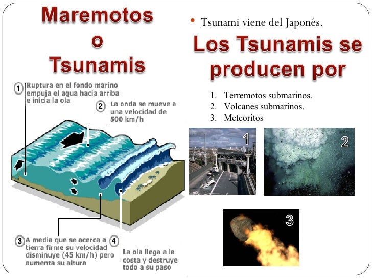 Qual A Diferença Entre Terremoto E Tsunami