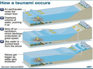 Terremotos e tsunamis