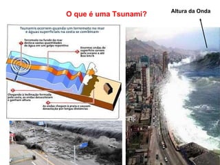 O que é uma Tsunami? Altura da Onda 