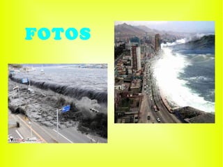 FOTOS 