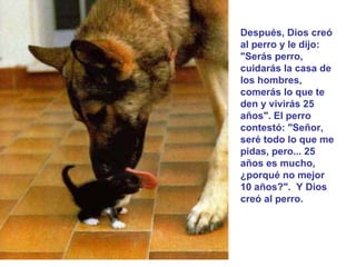Después, Dios creó al perro y le dijo: "Serás perro, cuidarás la casa de los hombres, comerás lo que te den y vivirás 25 años". El perro contestó: "Señor, seré todo lo que me pidas, pero... 25 años es mucho, ¿porqué no mejor 10 años?".  Y Dios creó al perro. 