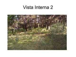 Vista Interna 2 