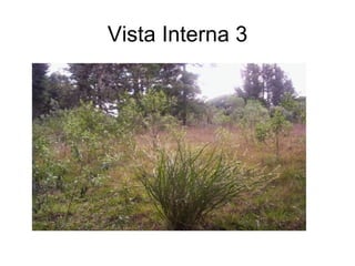 Vista Interna 3 