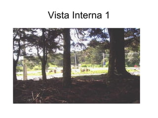 Vista Interna 1 